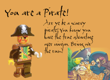 Find out which side you belong to: Pirates vs. Ninjas